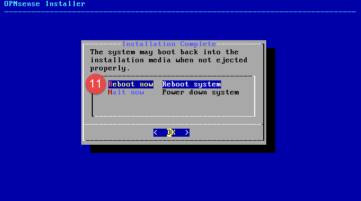 Image of OPNsense installation process.