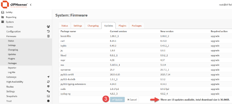 Image of OPNsense update process.