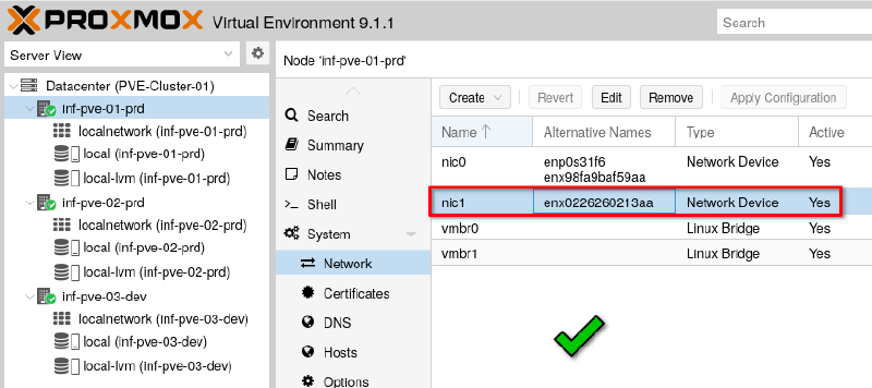 Screenshot of secondary network interface card for Proxmox node.