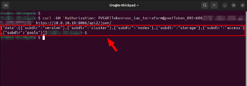 Testing the API token authentication.